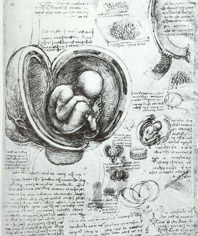 leojournal