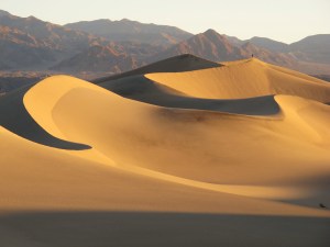 dunes